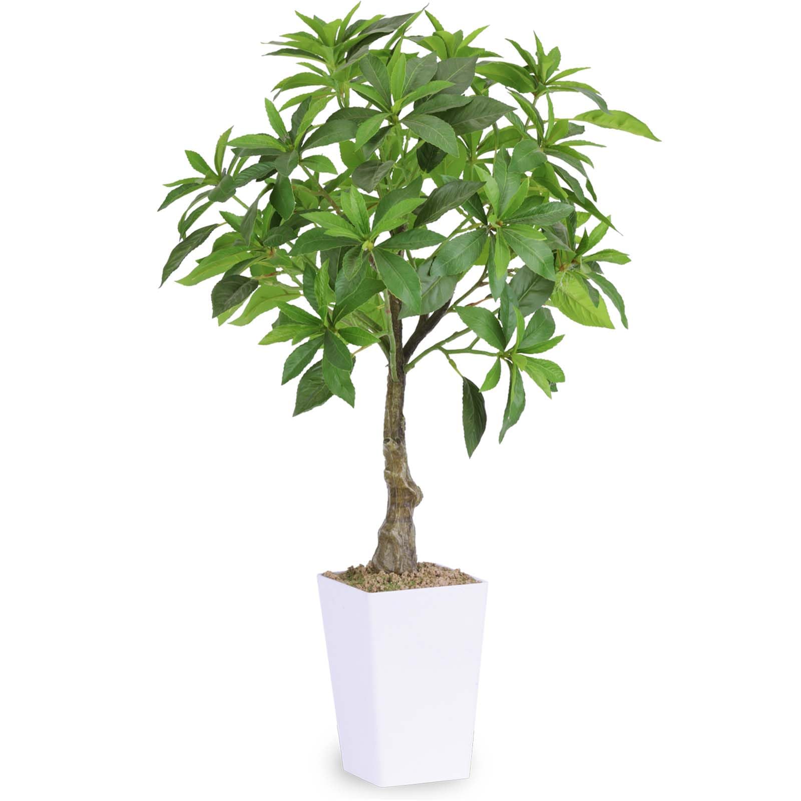 人工観葉植物 フェイクグリーン 観葉植物 【アセビ 高さ75CM】 馬酔木 造花 光触媒 消臭 抗菌 インテリア おしゃれ オフィス 室内 装飾